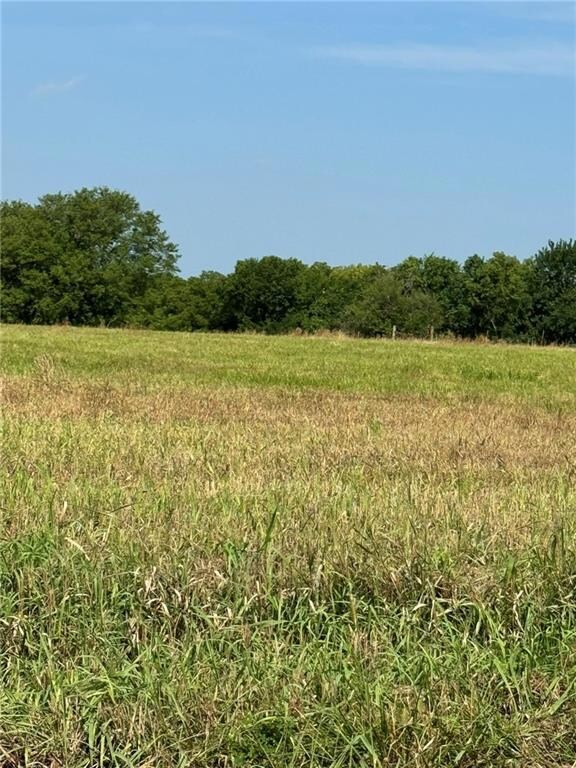 0 Lone Star Rd unit HMS2565805, Osawatomie, KS 66071 - photo 5