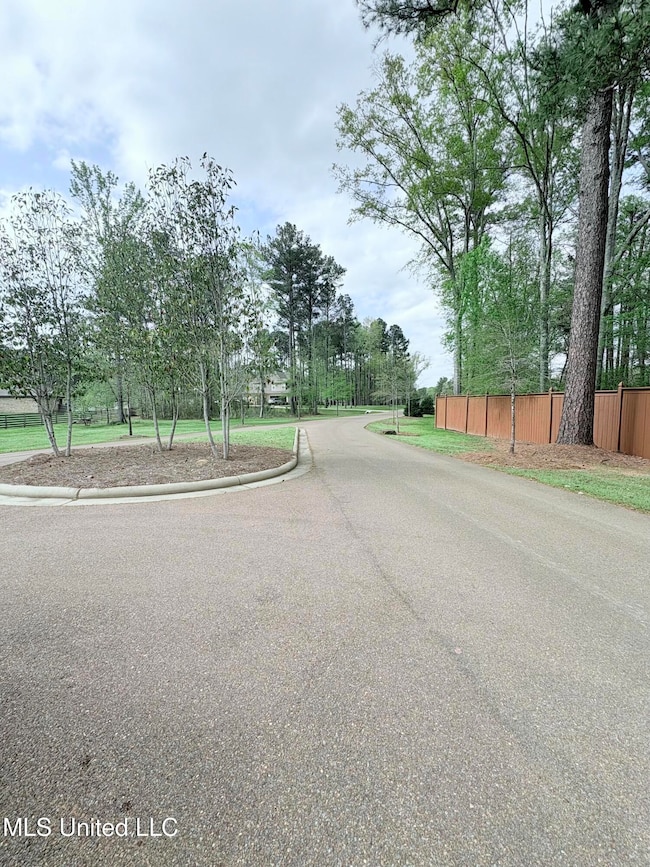 0 Dogwood Trace unit 4108863, Brandon, MS 39042 - photo 4