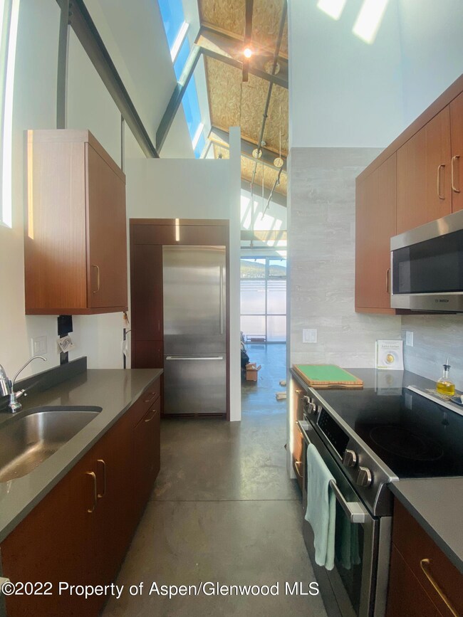 0035 Widget St unit 516, Basalt, CO 81621 - photo 5