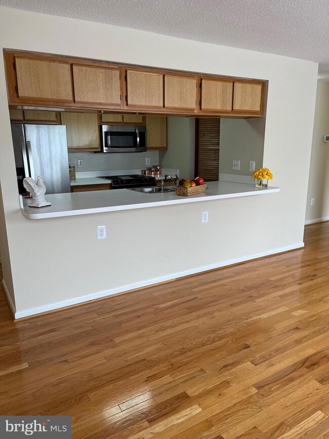 2703 Snowbird Terrace unit 6, Silver Spring, MD 20906 - photo 2