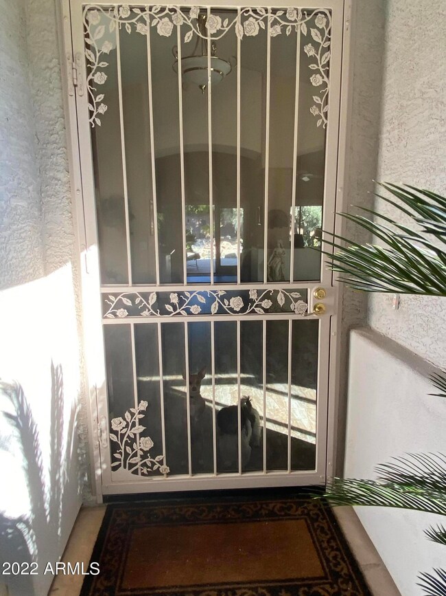 Encanto Security Door