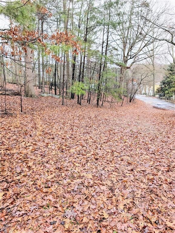 Side view of lot and side driveway from private road