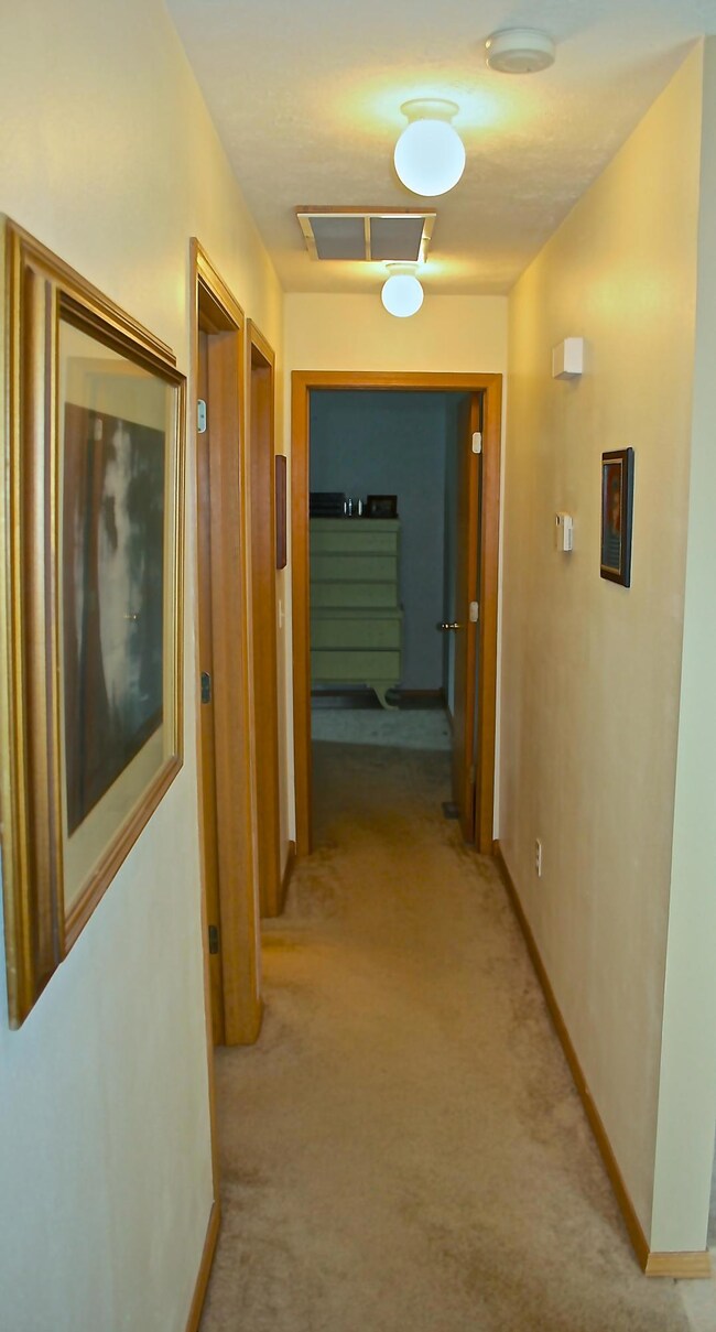 408 White Ash Rd, Nixa, MO 65714 - photo 7