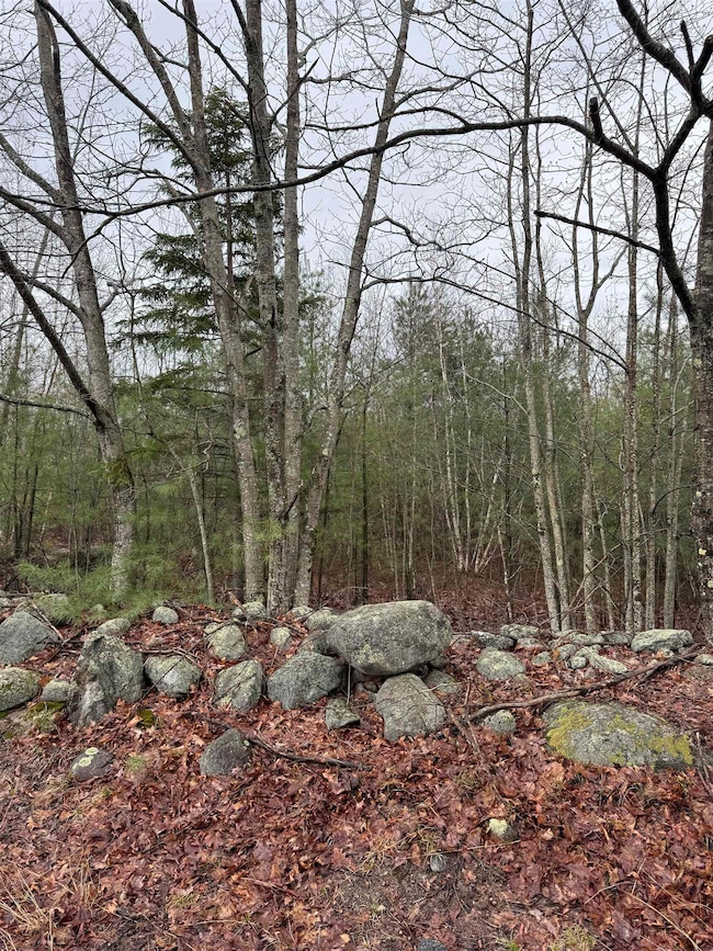 TBD Mason Rd, Milton, NH 03851 - photo 2