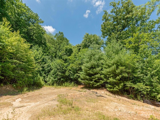 00 Mistletoe Trail Unit 46, Hendersonville, Nc 28791 