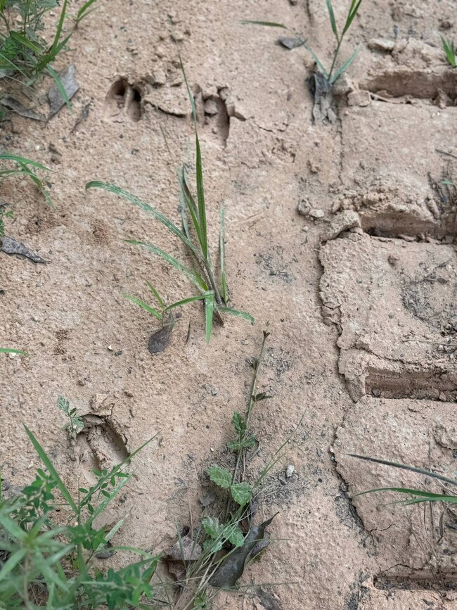 0 unit 11550309, Guin, AL 35563 - photo 5