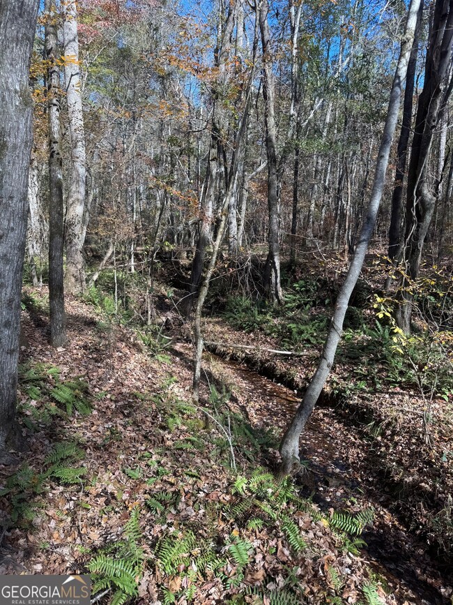 4509 Georgia 18, West Point, GA 31833 - photo 5