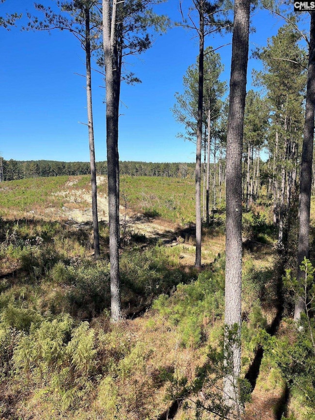 DRF 5 Dawkins Rd unit DRF 5, Pacolet, SC 29372 - photo 3