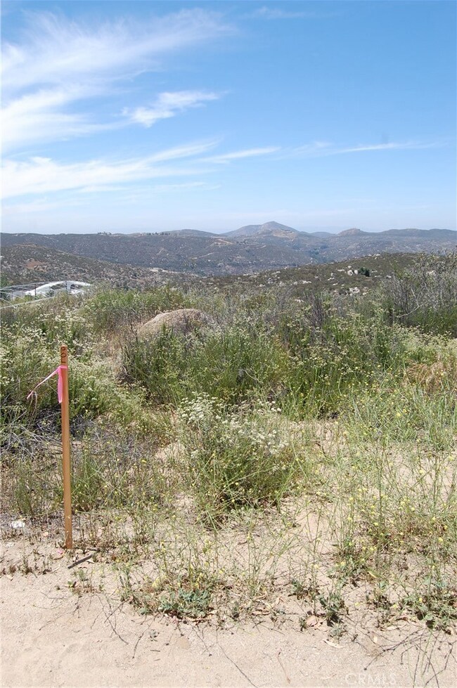 0 Doe Ln unit IG25132605, Hemet, CA 92544 - photo 6