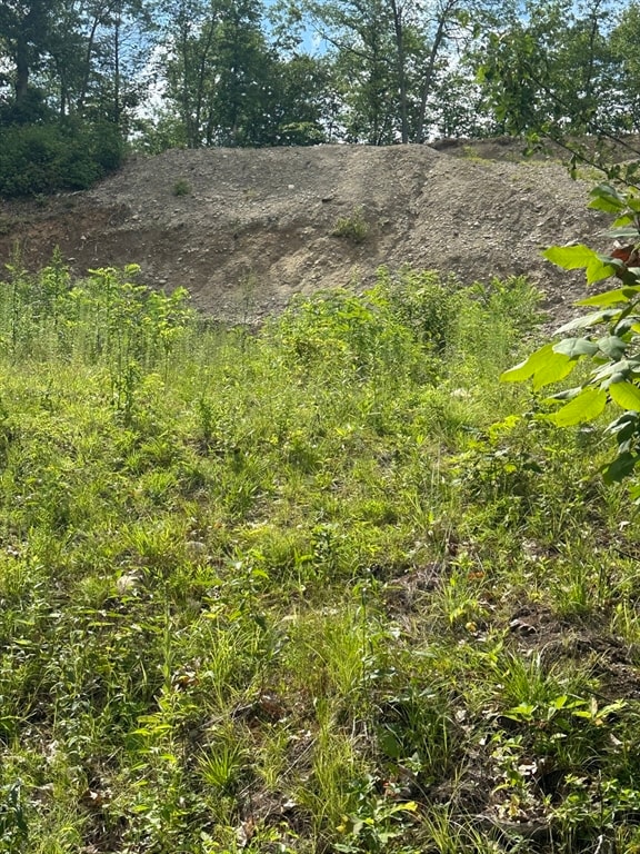 33 Walsh Ave, Auburn, MA 01501 - photo 5