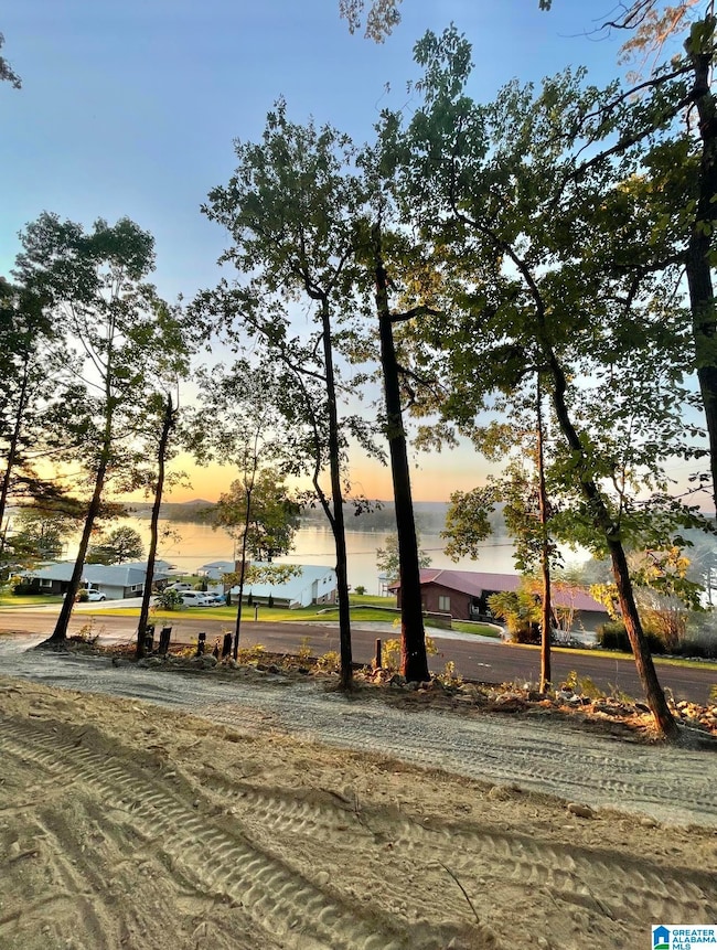 1169 Lakemont Dr N, Southside, AL 35907 - photo 3