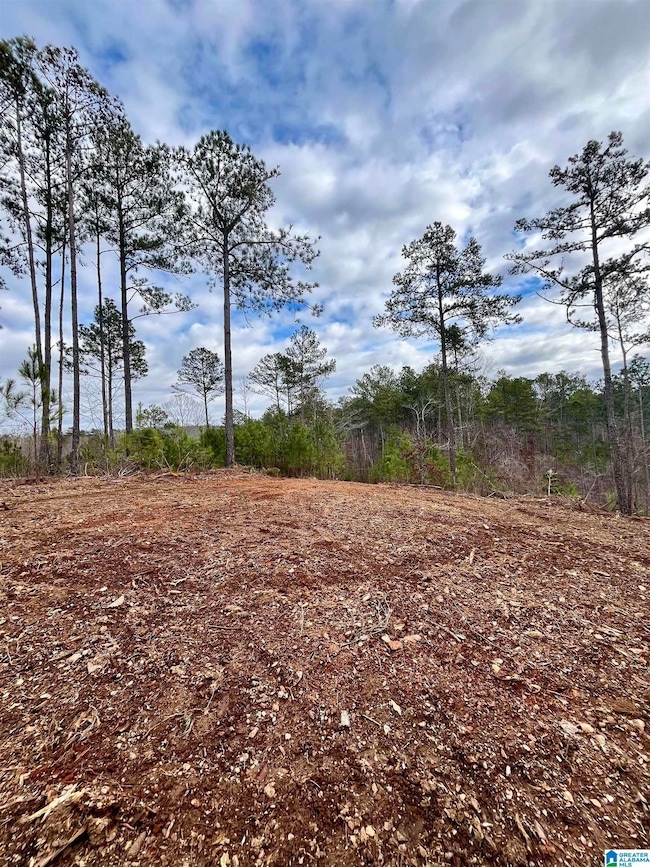 0 County Road 33 unit 21415403, Wedowee, AL 36278 - photo 5