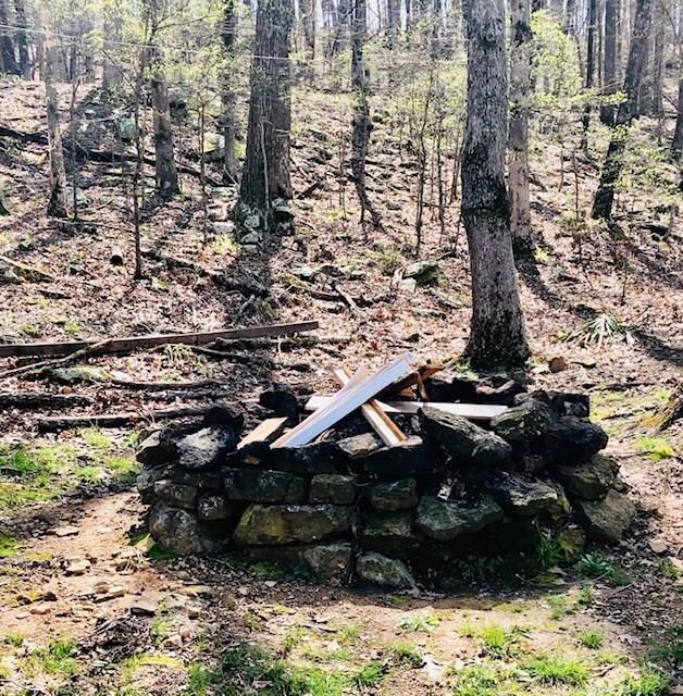 17818 Arkady Way, Winslow, AR 72959 - photo 5