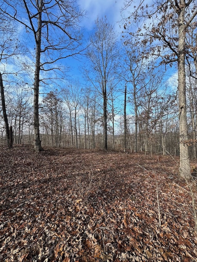 Tbd County Road 118, Annapolis, MO 63620 - photo 2