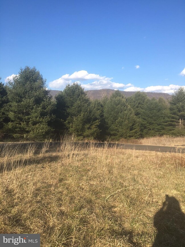 0 Evergreen Ct unit 1000320690, Bentonville, VA 22610 - photo 3