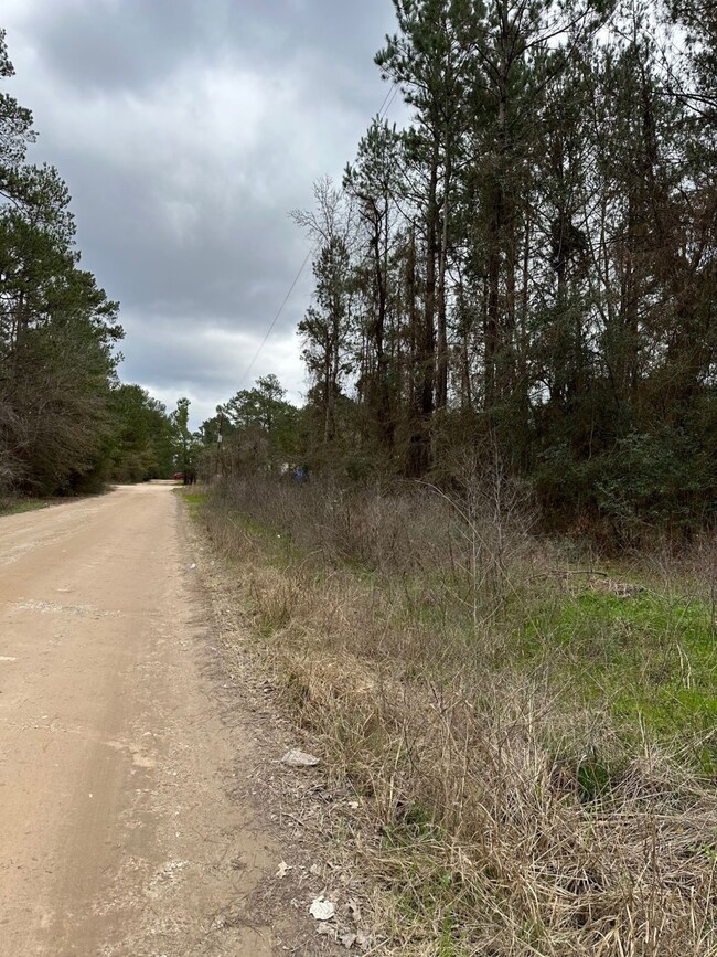 00 Magnolia Spring, Plantersville, TX 77363 - photo 7