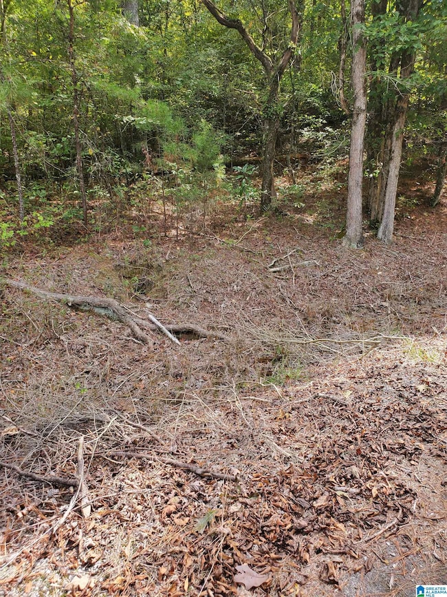 7595 McCombs Mill Rd unit 1, Pinson, AL 35126 - photo 3