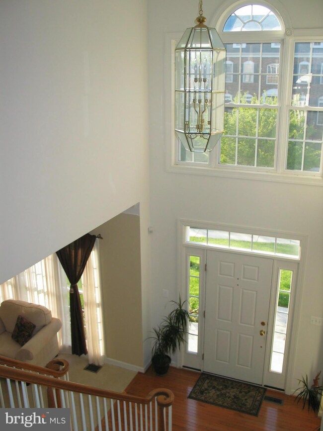 1621 Winesapp Dr, Odenton, MD 21113 - photo 6