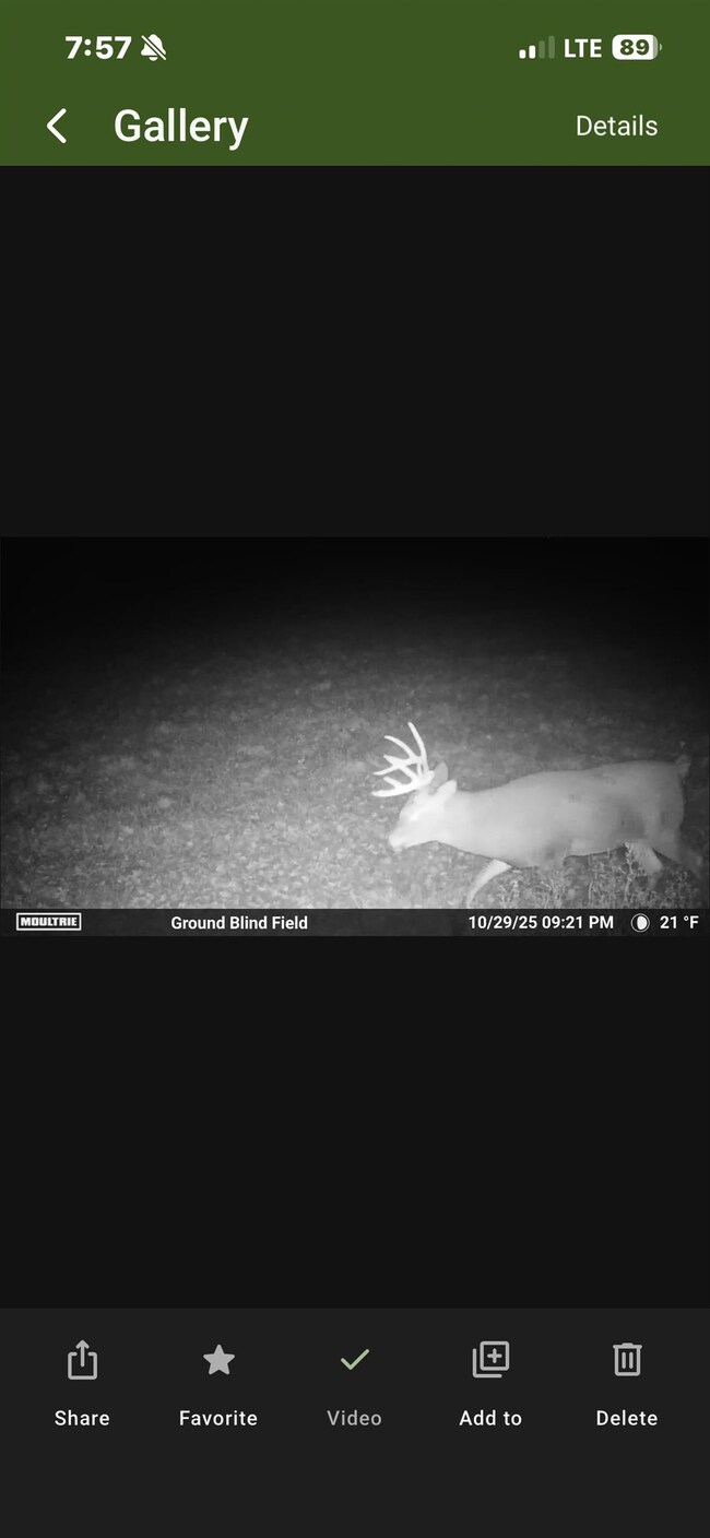 02 State Highway 45, Birnamwood, WI 54414 - photo 6