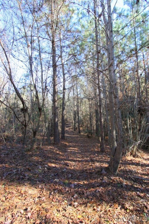 Hunting and hiking trails established throughout the 46.5 acres