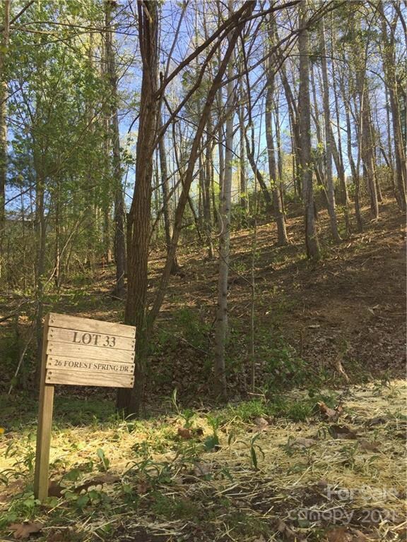 26 Forest Spring Dr unit 33A, Asheville, NC 28804 - photo 2