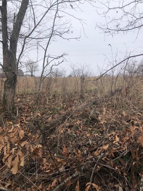 0 Fletcher Wc 751 Rd unit 1172199, Fayetteville, AR 72704 - photo 5