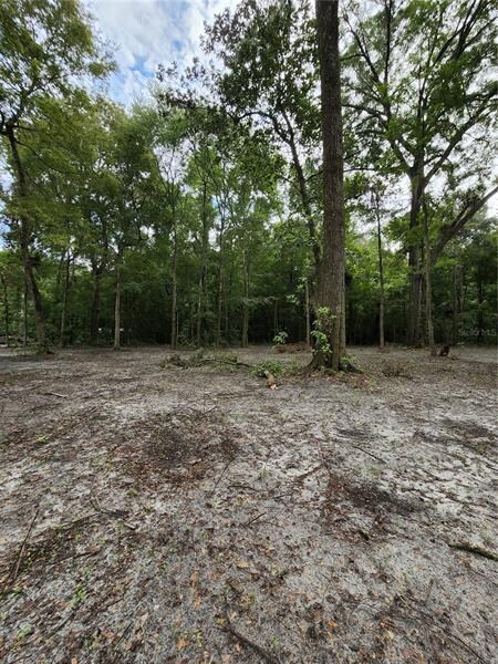 Lot 51 SW Boston Terrace, Fort White, FL 32038 - photo 6