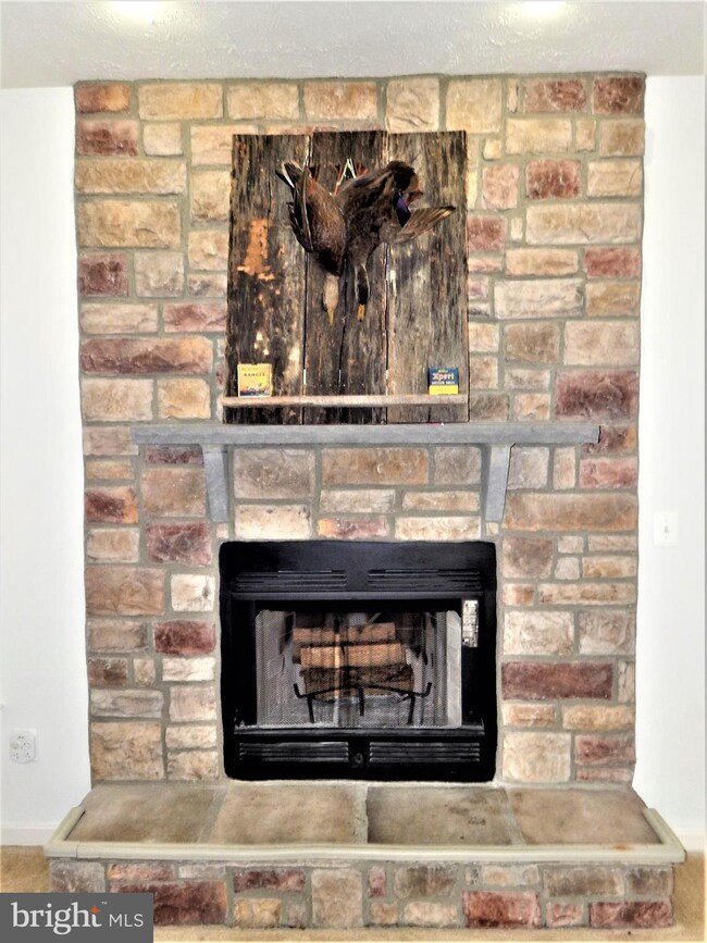 35369 Hawks Nest Ct, Locust Grove, VA 22508 - photo 7