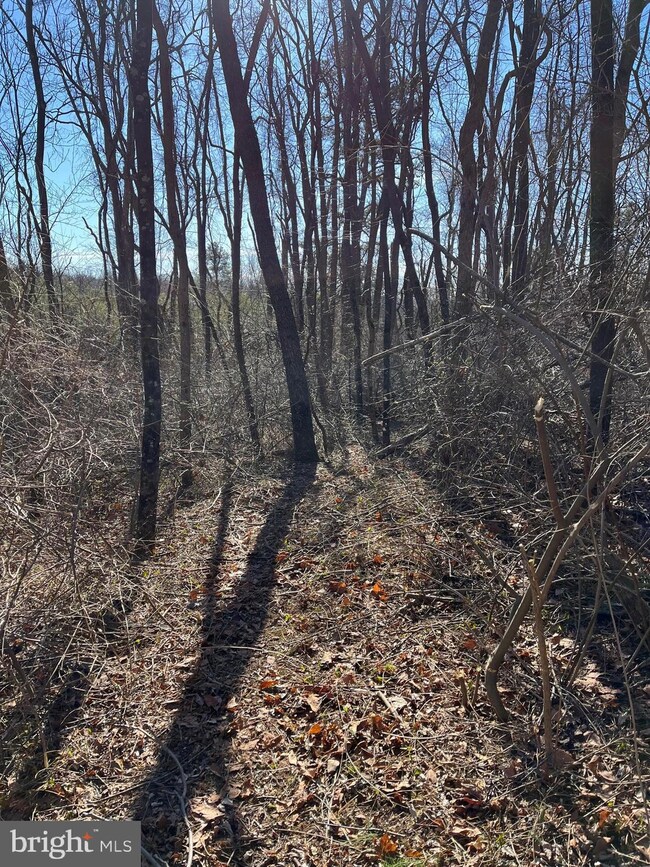 Lot 1A Hampshire Gra Hampshire Grade Rd, Hedgesville, WV 25427 - photo 2