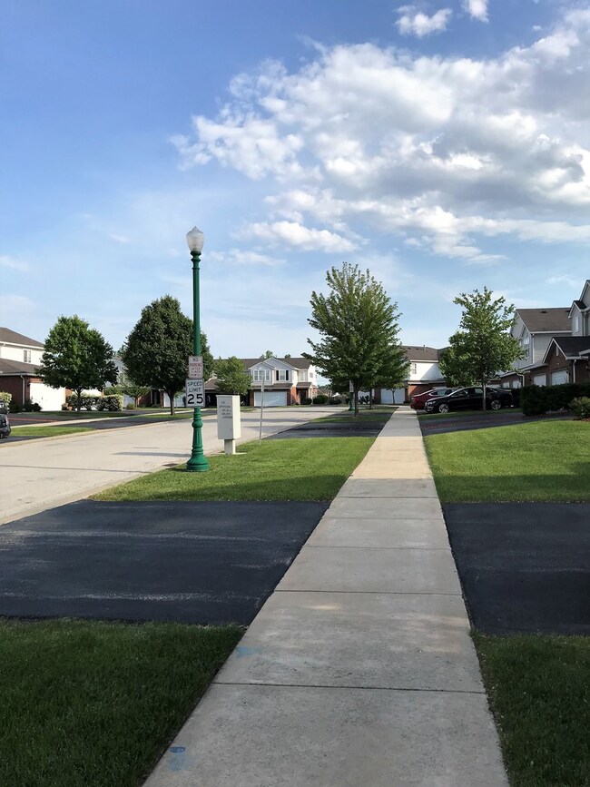 920 Berry Path Trail unit 1132, Matteson, IL 60443 - photo 4