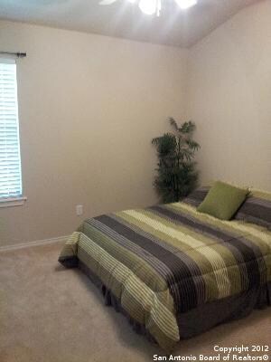 25606 Texas Ash, San Antonio, TX 78261 - photo 5