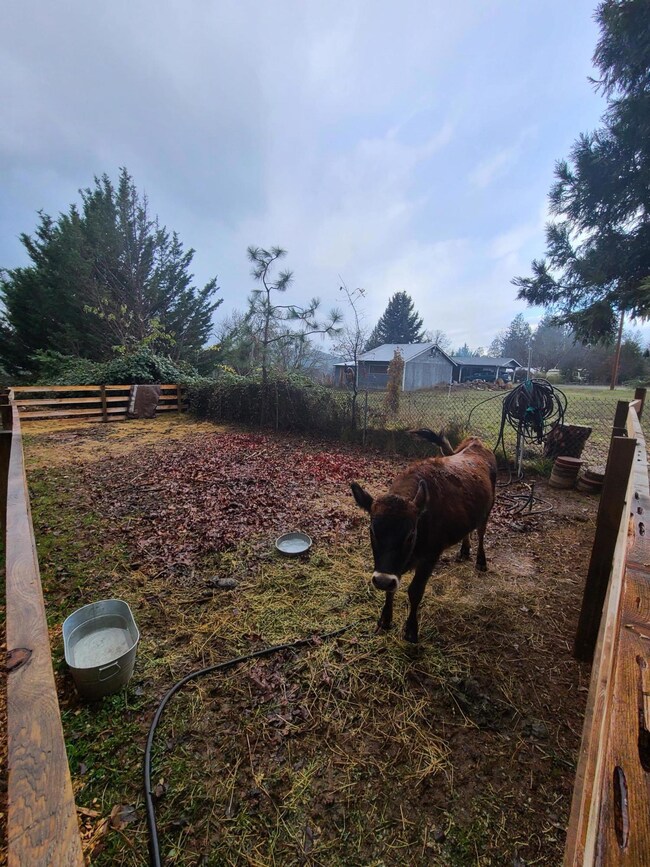 921 Rainbow Dr, Grants Pass, OR 97526 - photo 7