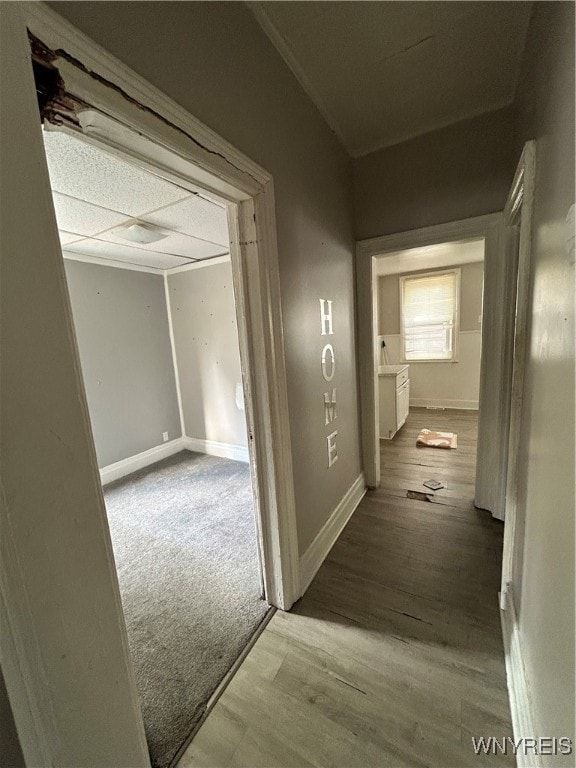 18 Kamper Ave, Buffalo, NY 14210 - photo 4