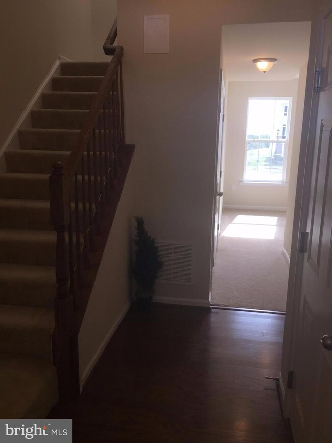 168 Schramm Loop, Stephens City, VA 22655 - photo 3