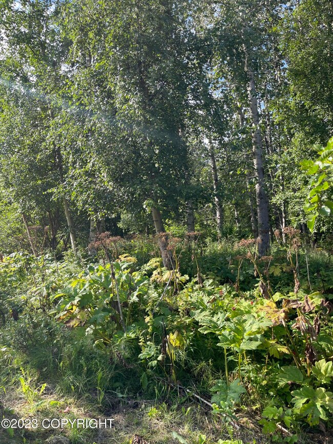 17100 Owens Dr, Lazy Mountain, AK 99645 - photo 6