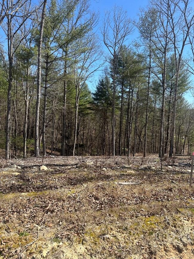 Lot 188 The Ridges, Morganton, GA 30560 - photo 6