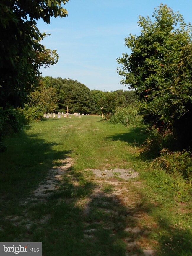 0 Jesterville Rd unit MDWC2000364, Bivalve, MD 21814 - photo 5