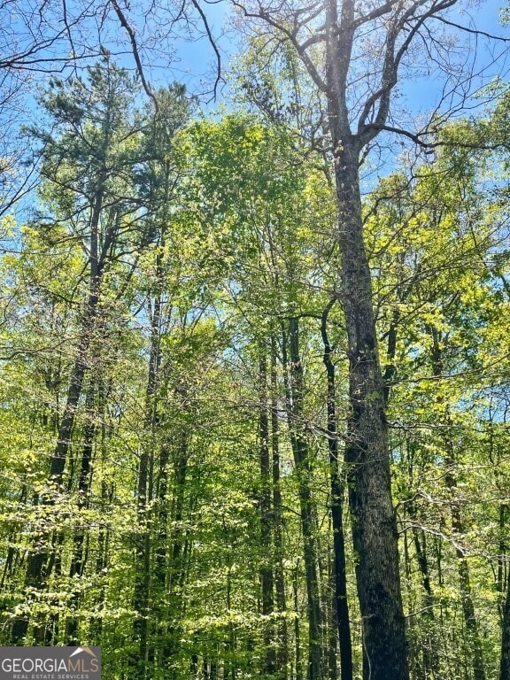 5808 Hensley Rd, Lula, GA 30554 - photo 3