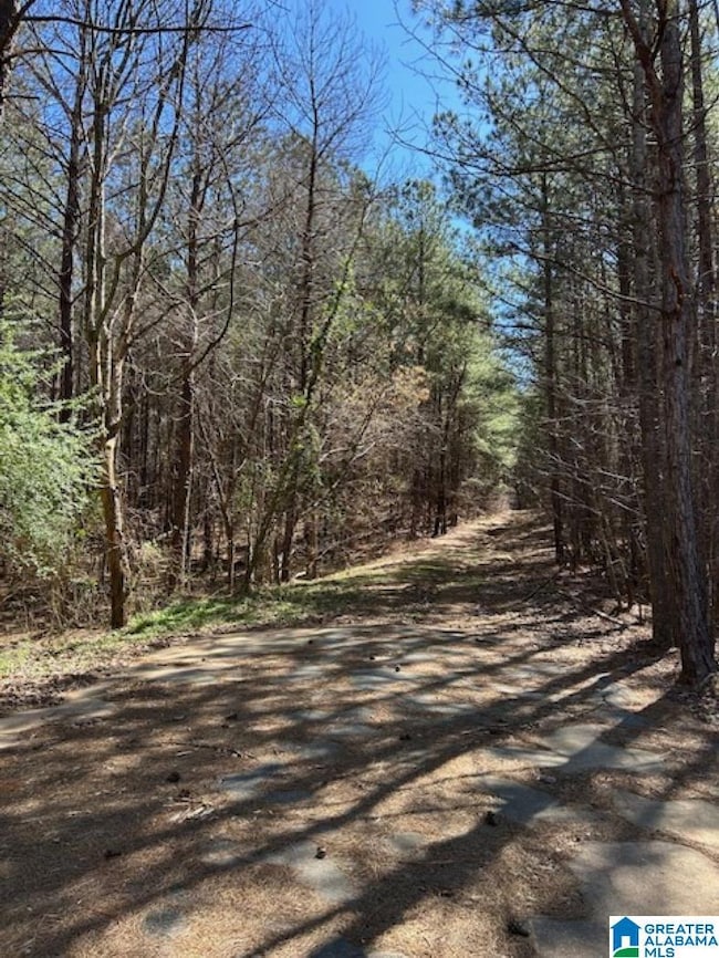 0 Kensington Blvd unit 21413574, McCalla, AL 35111 - photo 5