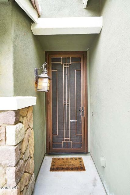 Exquisite Security Door