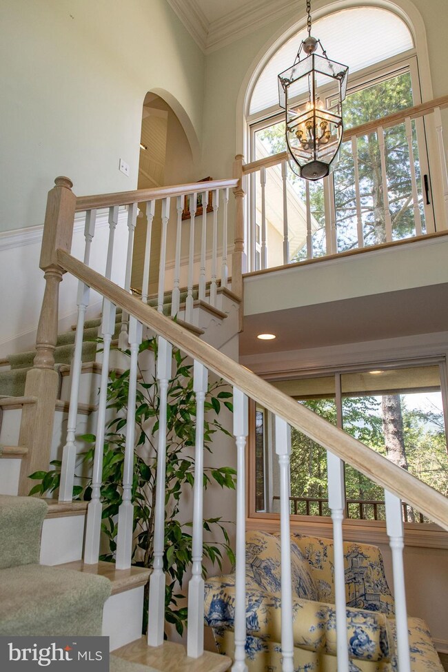 397 Linda Ln, Mount Jackson, VA 22810 - photo 4