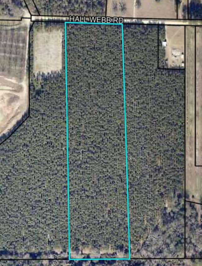 Tract 2 Hall Webb Rd, Hahira, GA - photo 2