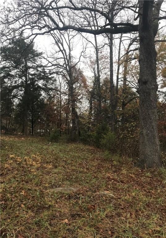 16281 E Black Oak Rd, Fayetteville, AR 72701 - photo 7