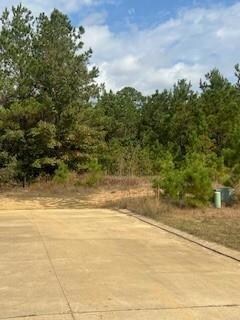 0 Ocho Rios, Pineville, LA 71360 - photo 5