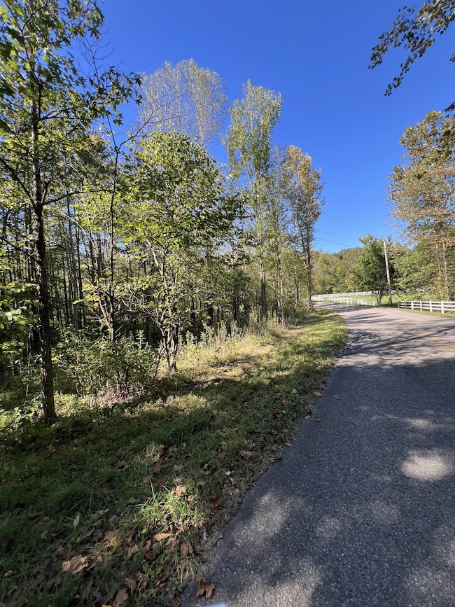 0 Tobaccoport Rd, Bumpus Mills, TN 37028 - photo 2
