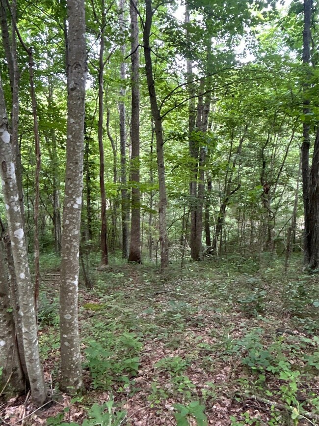 0 van Crabtree Road Lot unit Wp001, Lucasville, OH 45648 - photo 5