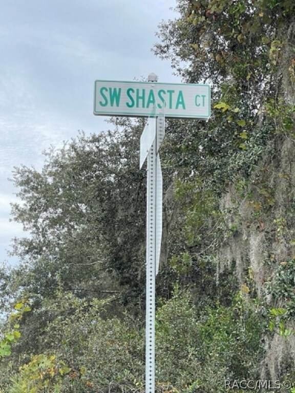 unlisted-address, Dunnellon, FL 34431 - photo 4