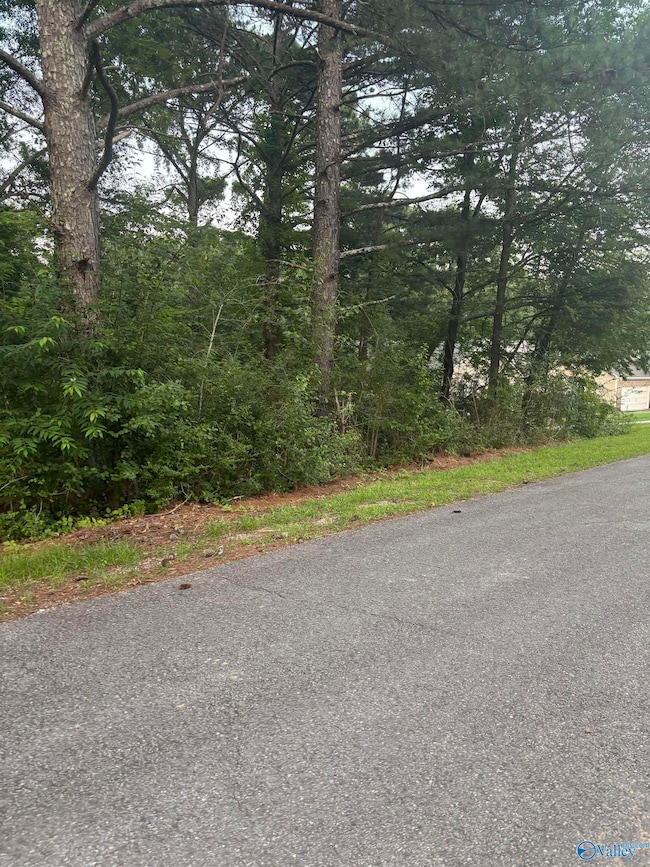 1 Berkley Hills Dr W, Southside, AL 35907 - photo 2