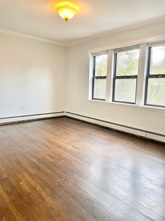 435 Walnut Ave, Roxbury, MA 02119 - photo 4