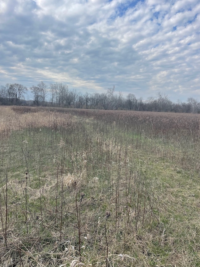 17444 Little Eagle Creek Ave, Westfield, IN 46074 - photo 5